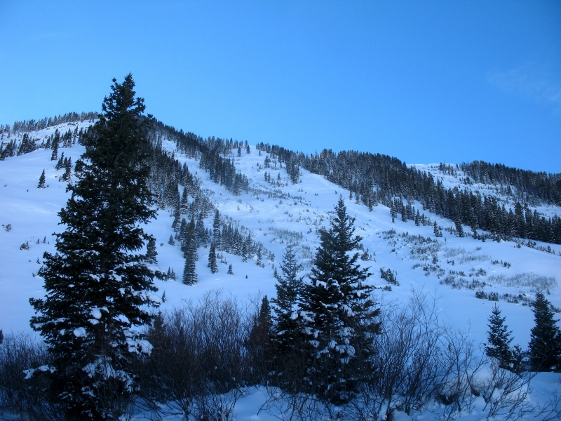 Backcountry skiing on Schuykill