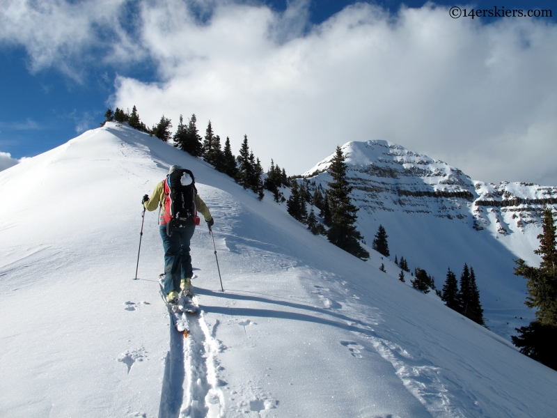 Schuylkill summit ridge