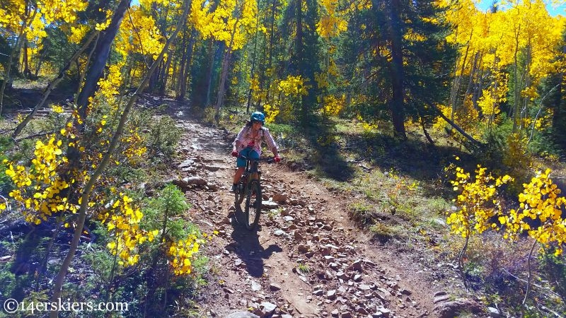 Mountain biking on Ferris Creek trail near Crested Butte