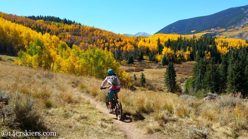 Mountain biking on Ferris Creek trail near Crested Butte