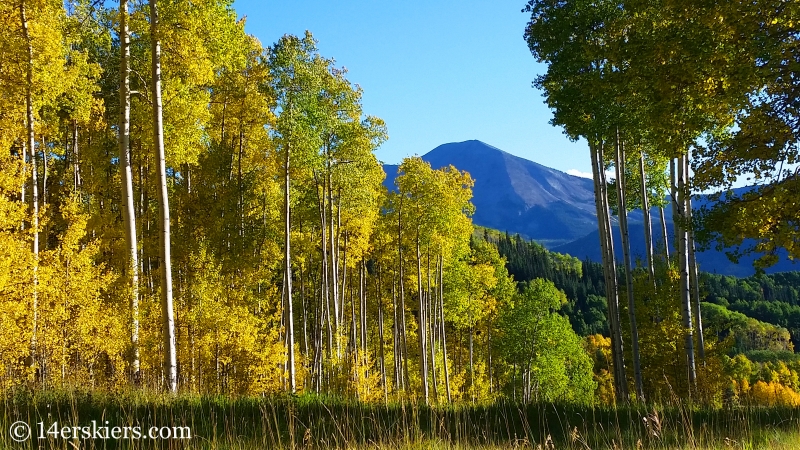 Fall colors in Crested Butte. 