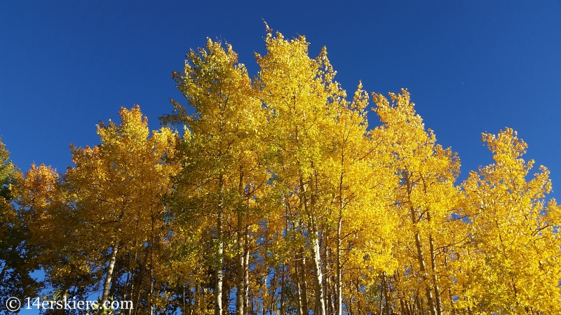 Fall colors at Crested Butte Mountain Resort