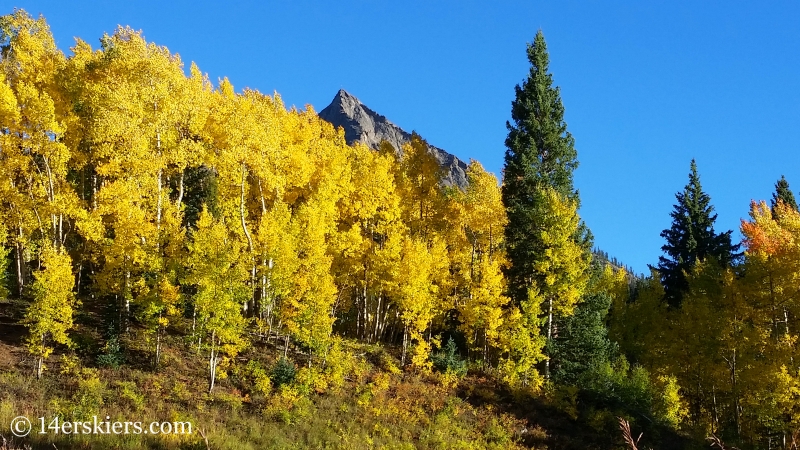 Fall colors on Mount Crested Butte. 