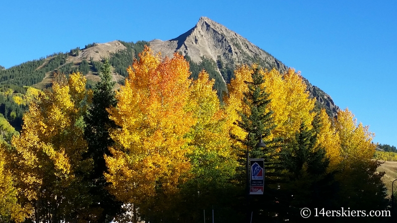 Fall colors on Mount Crested Butte. 