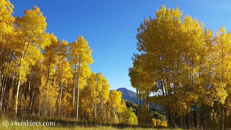 Fall colors in Crested Butte. 