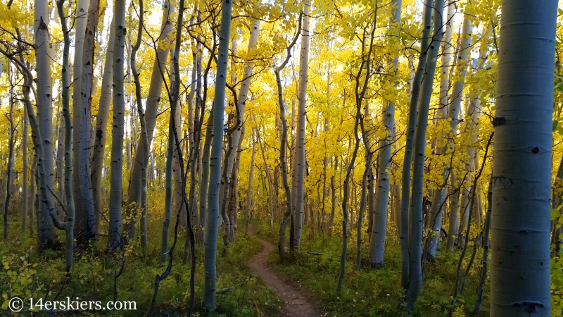 Fall colors at Crested Butte Mountain Resort