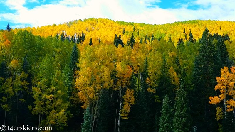 Fall colors in Crested Butte. 