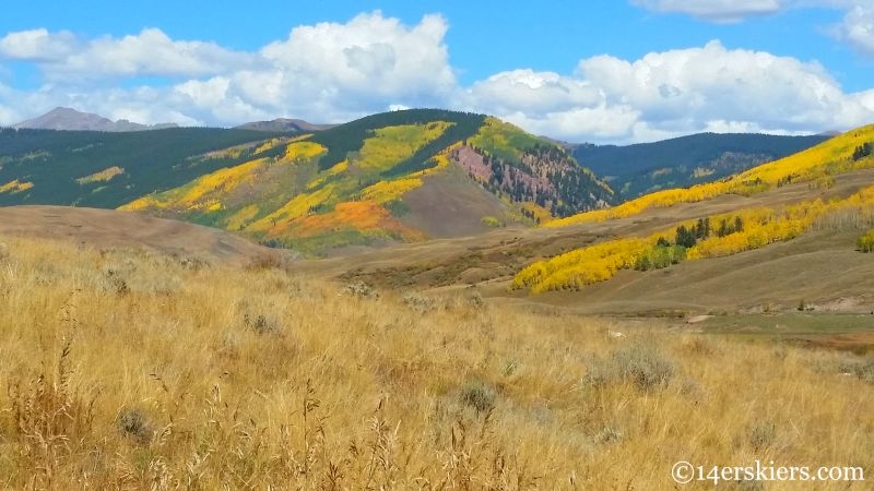 Fall colors on Brush Creek in Crested Butte.