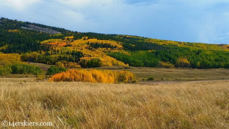 Fall colors on Brush Creek in Crested Butte.