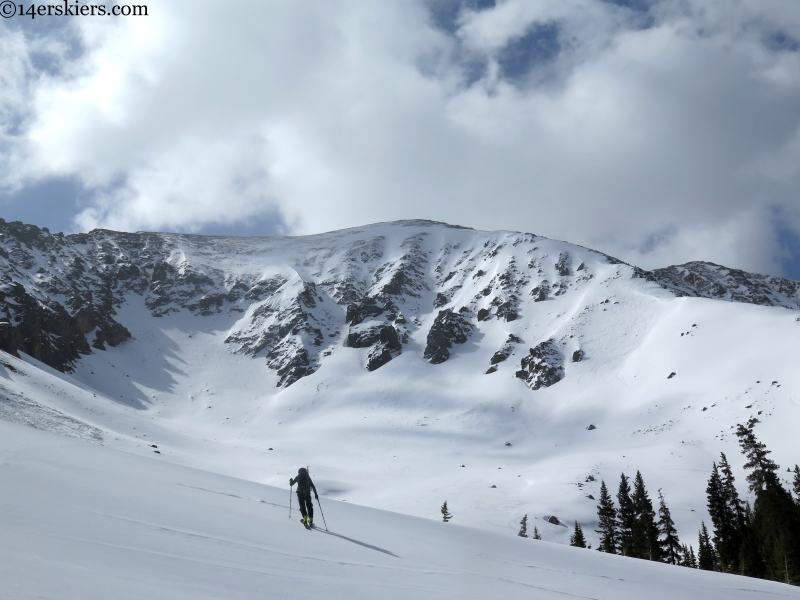 marjorie bowl approach