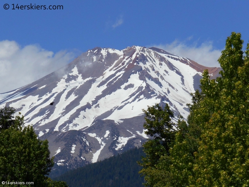 skiing Mount Shasta