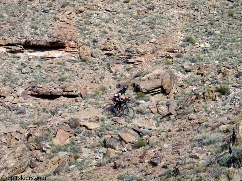 josh shifferly on the sidewinder trail