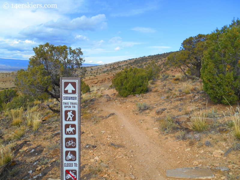 mountain biking near delta co