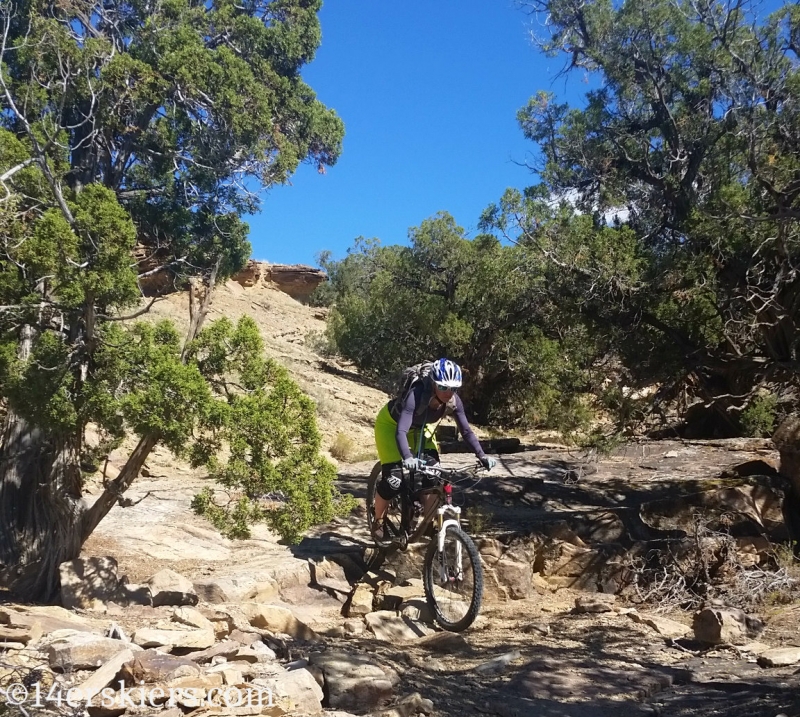 Natalie Moran mountain biking Sidewinder Trail.