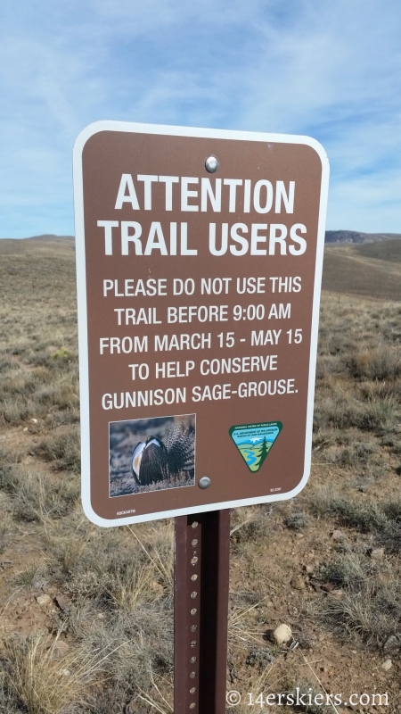 Mountain biking Signal Peak near Gunnison, CO.