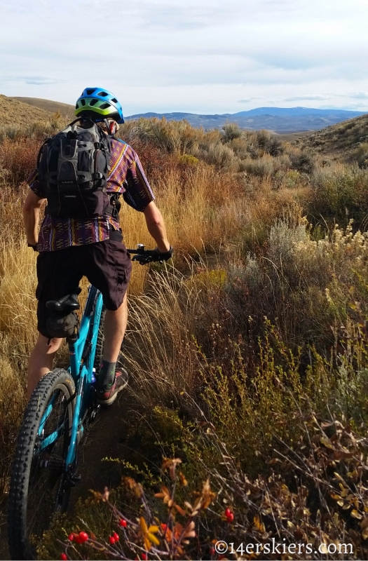 Mountain biking Signal Peak near Gunnison, CO.