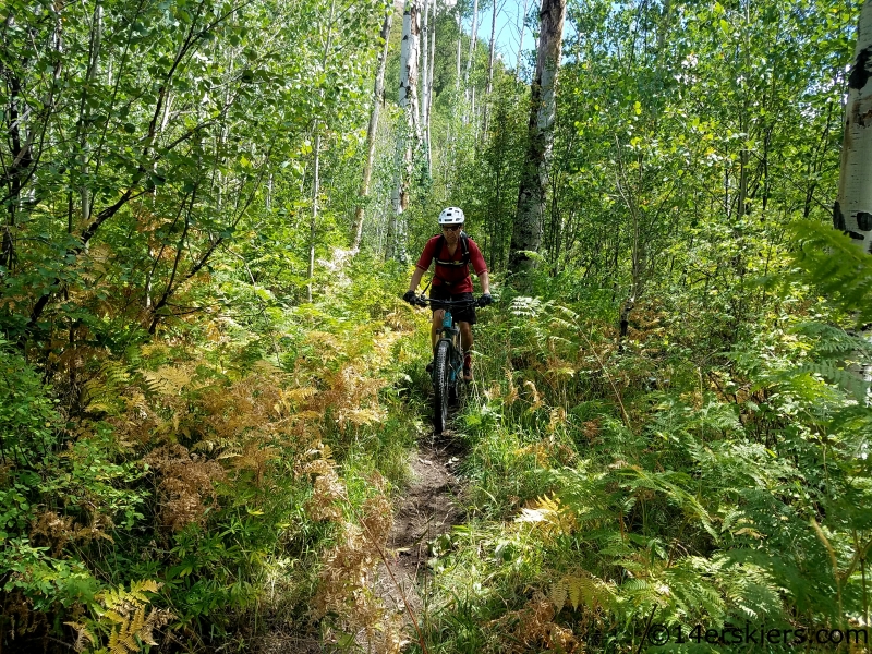 mtb sink creek trail