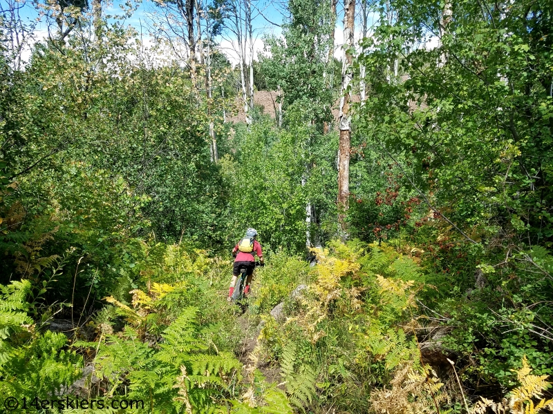 trails near crawford colorado biking