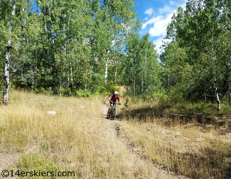 mountain biking west elks