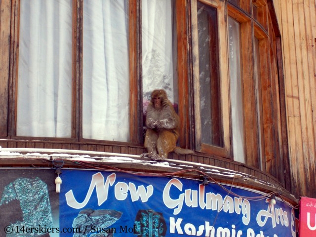 Skiing in India - Gulmarg, Kashmir