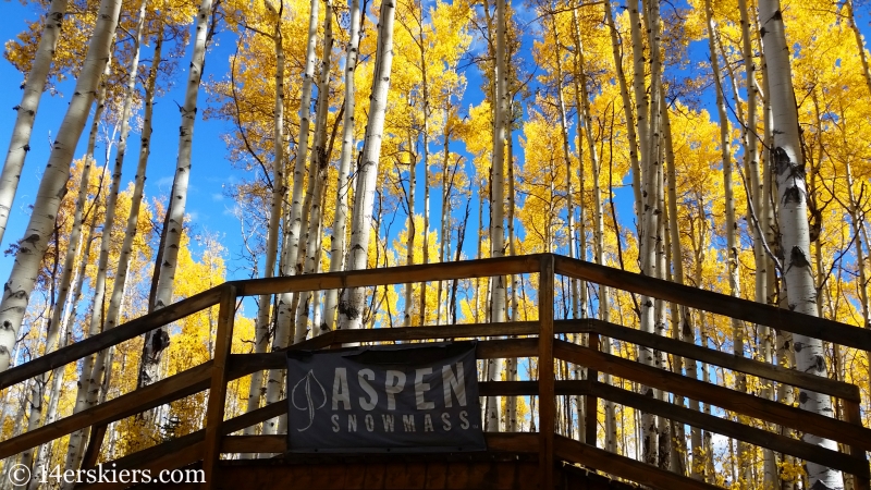 Mountain biking in Snowmass, Colorado.