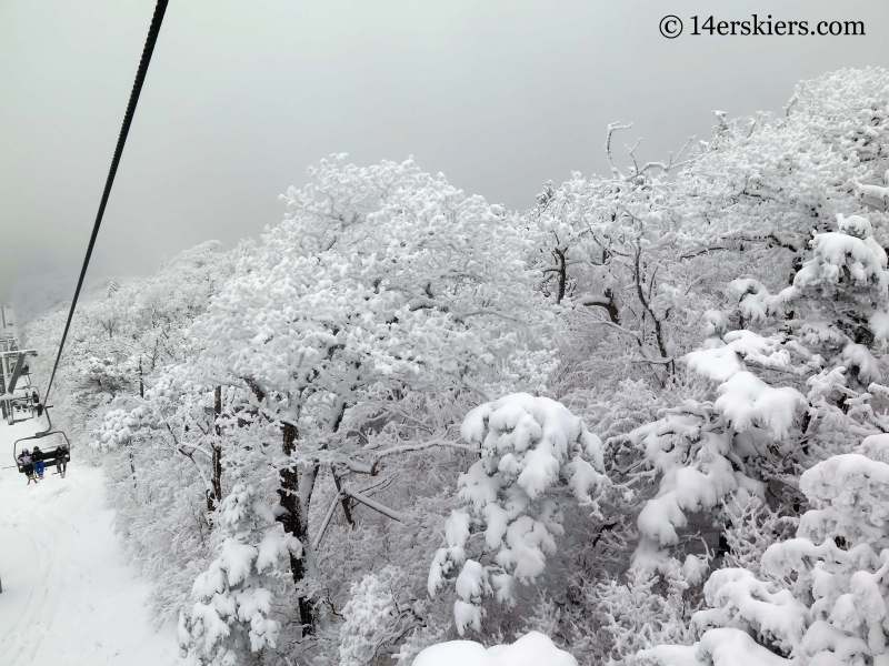 Looking down the Rainbow Chair at YongPyong ski area in South Korea.