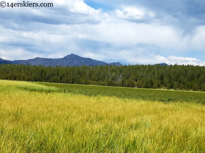 lily pond jenkins mountain