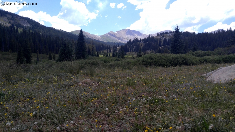 Italian mountain from Italian creek 759