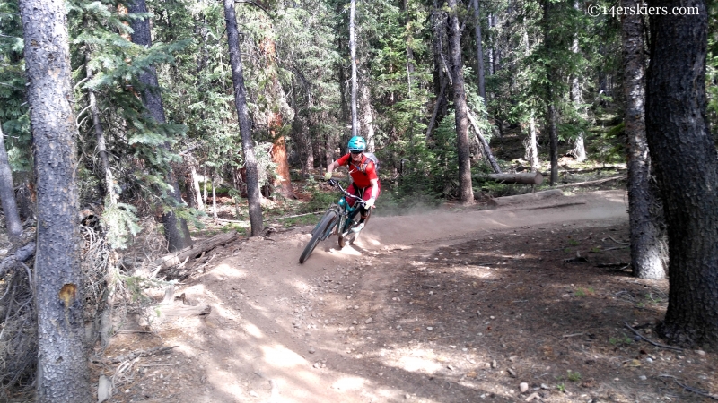 lily trail taylor park colorado