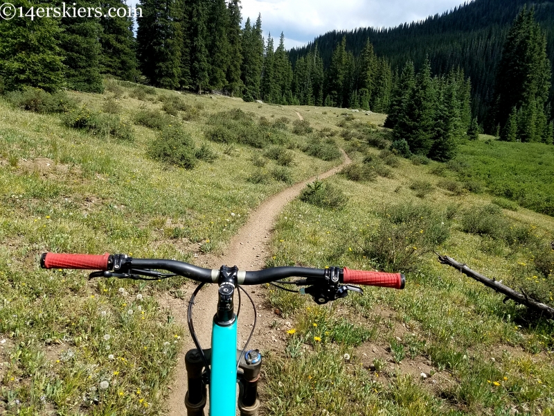 mountain biking star-lily trail