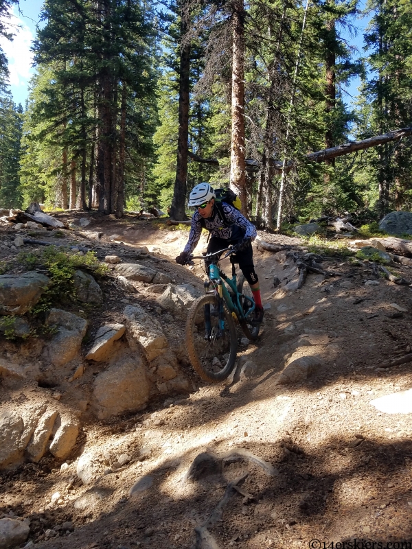 taylor park mountain biking