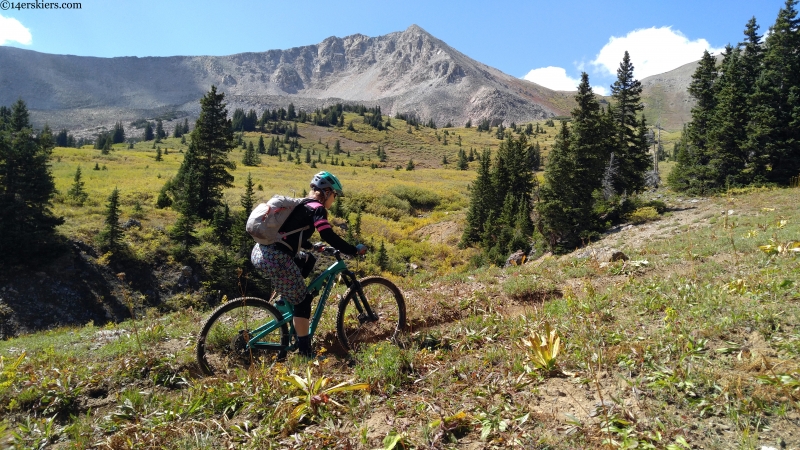 crested butte mountain biking