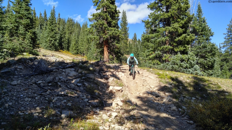 mountain biking the star trail near crested butte