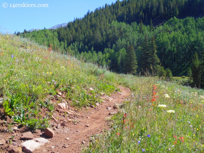 Upper Cement Creek trail near Crested Butte