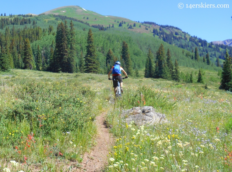 Mountain biking Upper Cement Creek trail near Crested Butte