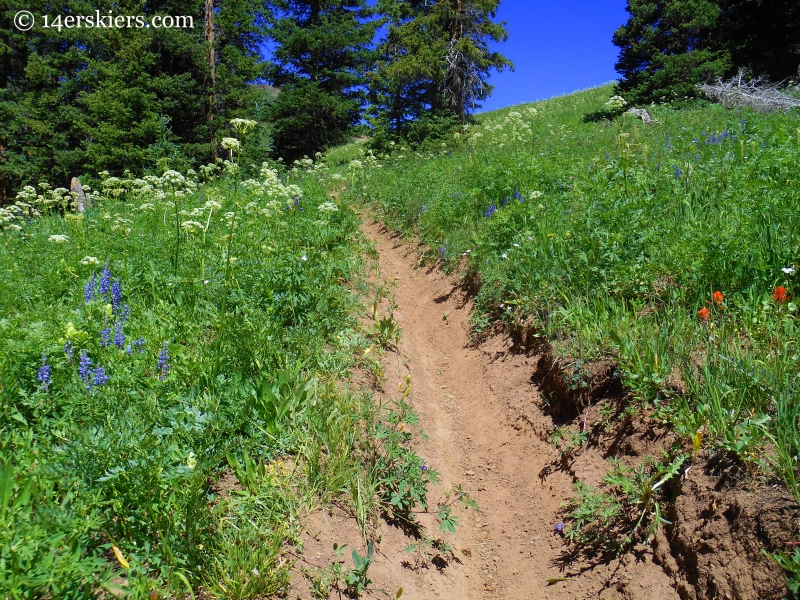 Crystal Peak Trail near Crested Butte