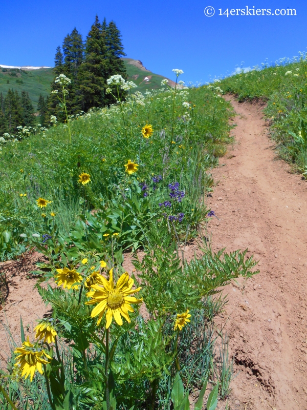 Crystal Peak trail near Crested Butte