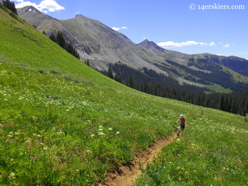 Crystal Peak trail near Crested Butte