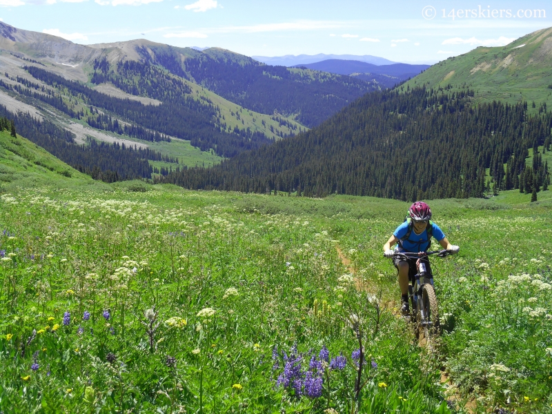 Mountain Biking Crystal Peak trail near Crested Butte