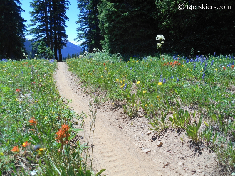 Mountain biking trail 400 near Crested Butte