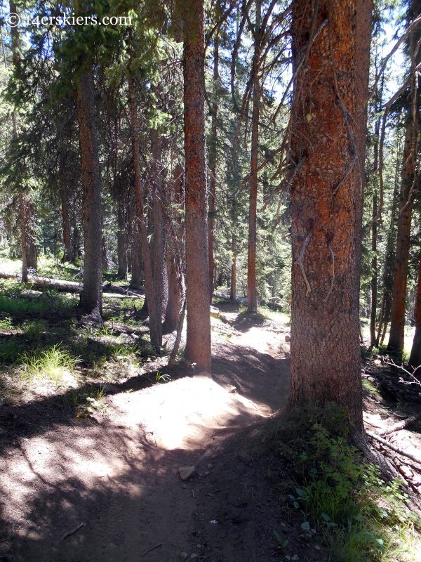 Mountain biking trail 400 near Crested Butte