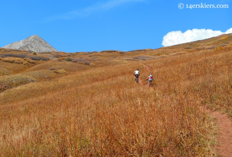 mountain biking trail 583 near Crested Butte