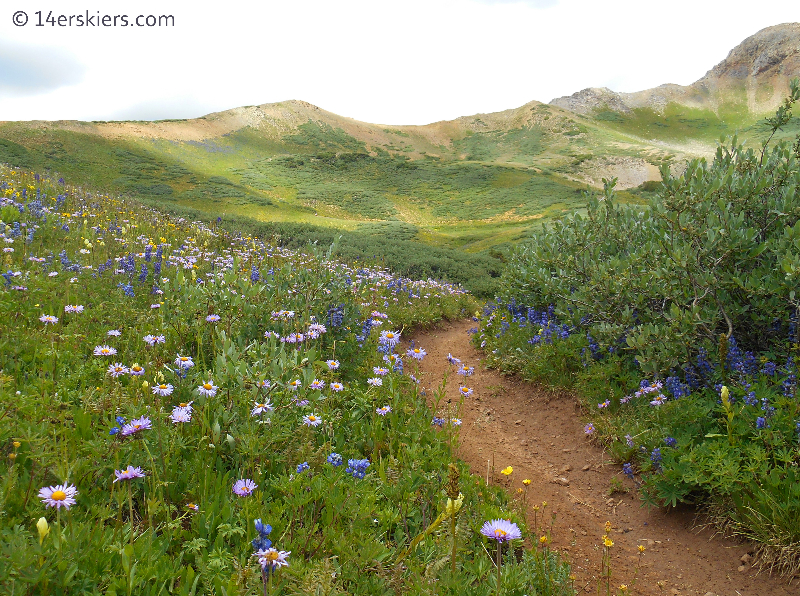 Crested Butte Mountain Biking: 7 Bucket List Trails