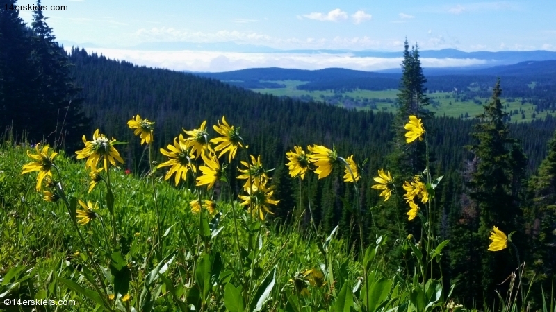 Mountain biking near Rabbit Ears