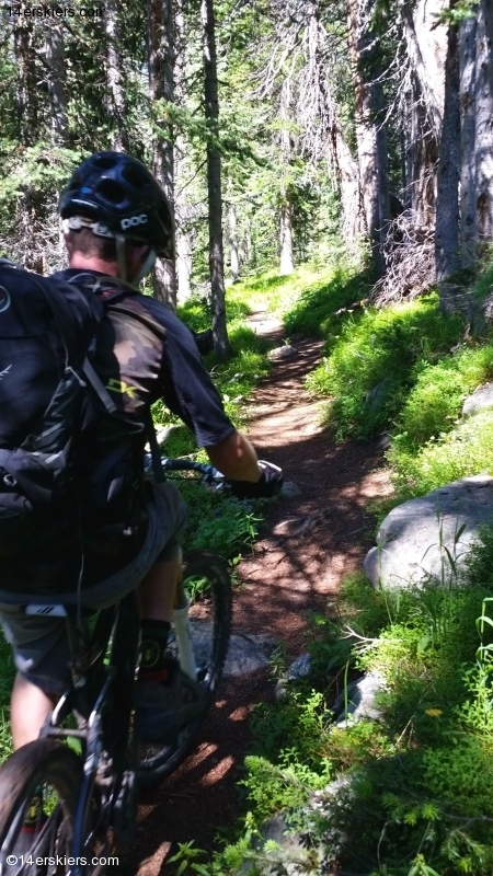 Larry Fontaine mountain biking near Steamboat Springs.