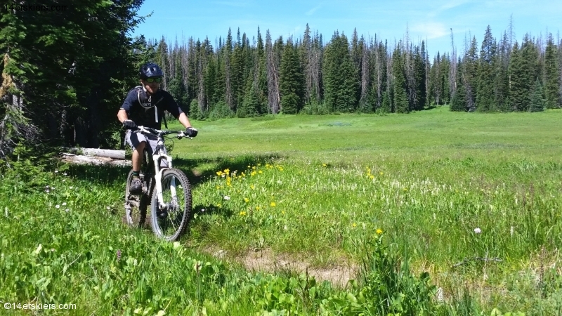 Larry Fontain Mountain biking near Steamboat Springs.