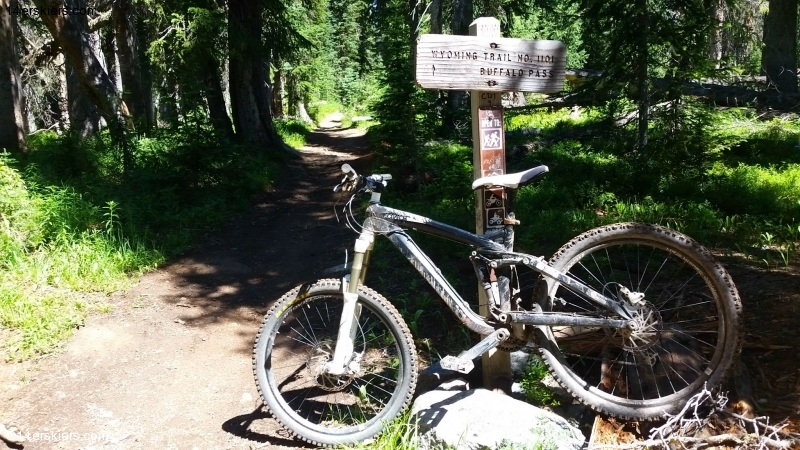 Mountain biking near Steamboat Springs