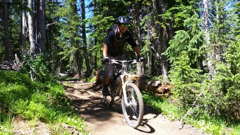 Larry Fontaine mountain biking near Steamboat Springs