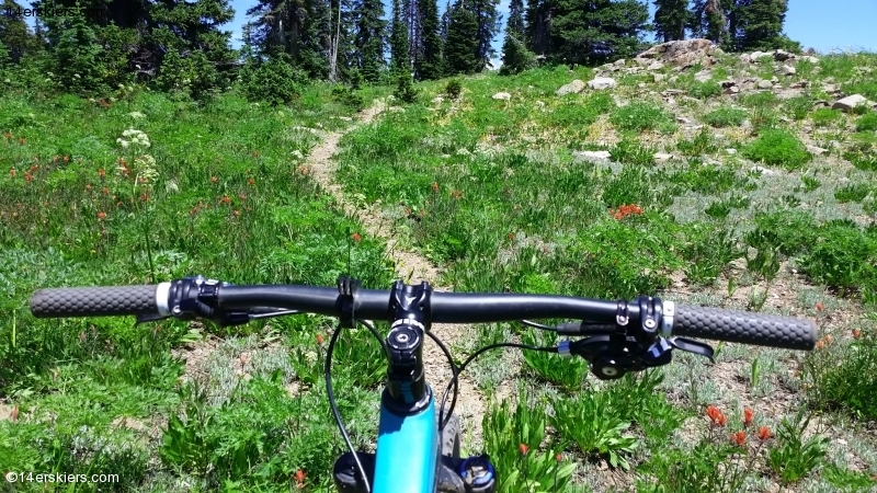 Mountain biking Soda Mountain near Steamboat Springs.