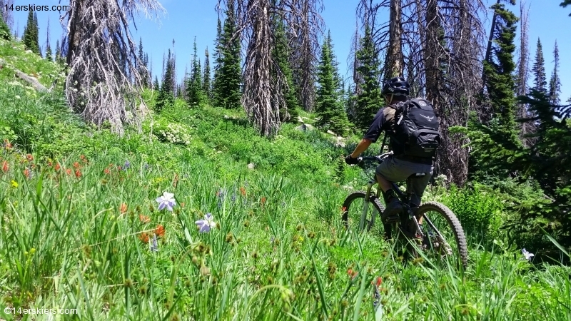 Larry Fontaine Mountain biking Soda Mountain near Steamboat Springs.